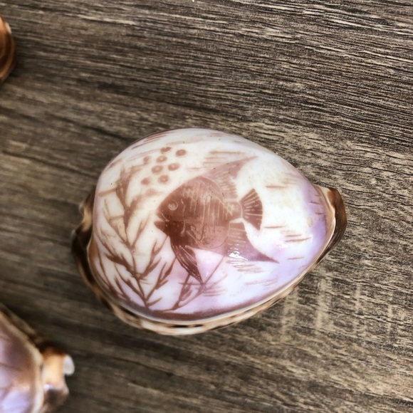 Vtg Hand Carved Cowrie Seashells with Intricate Designs - Picture 5 of 12